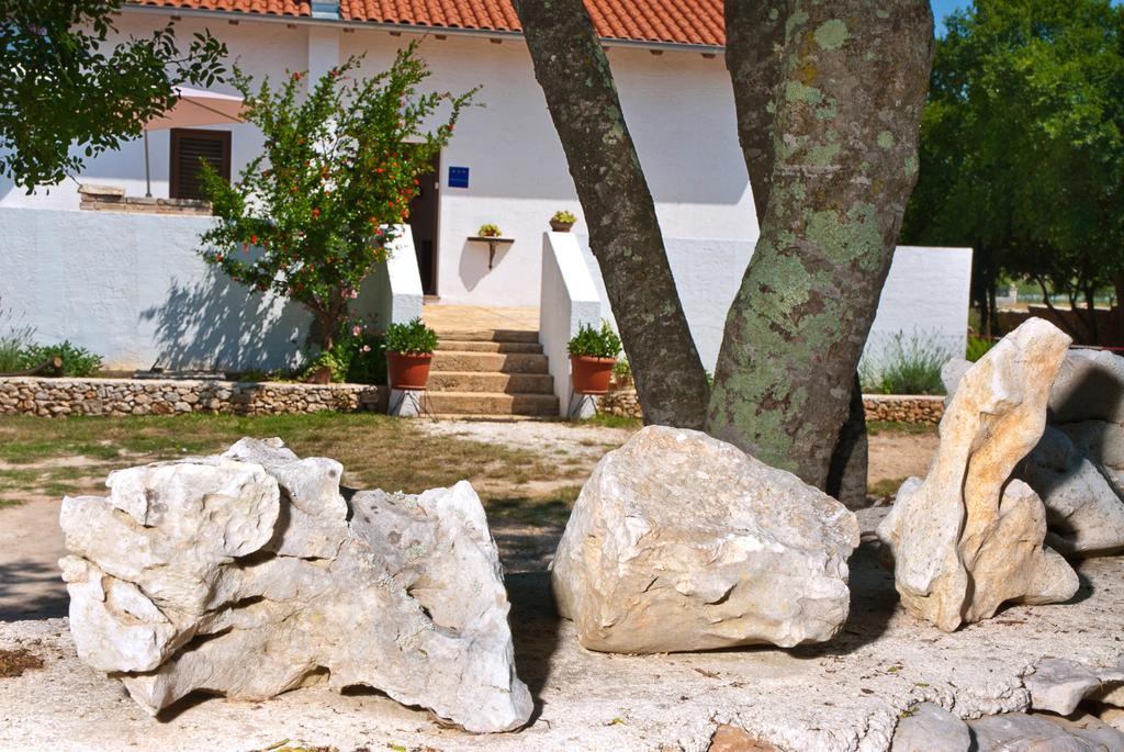 Vila House Soni - 800 M From The Sea Rovinj Exteriér fotografie
